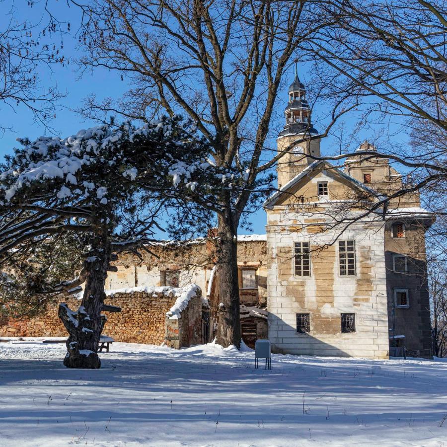 Palac Gorzanow Dış mekan fotoğraf
